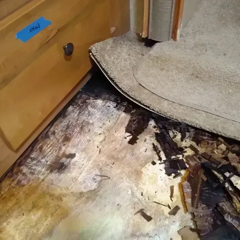 Wood Floor Water Damage in Howard County, IA